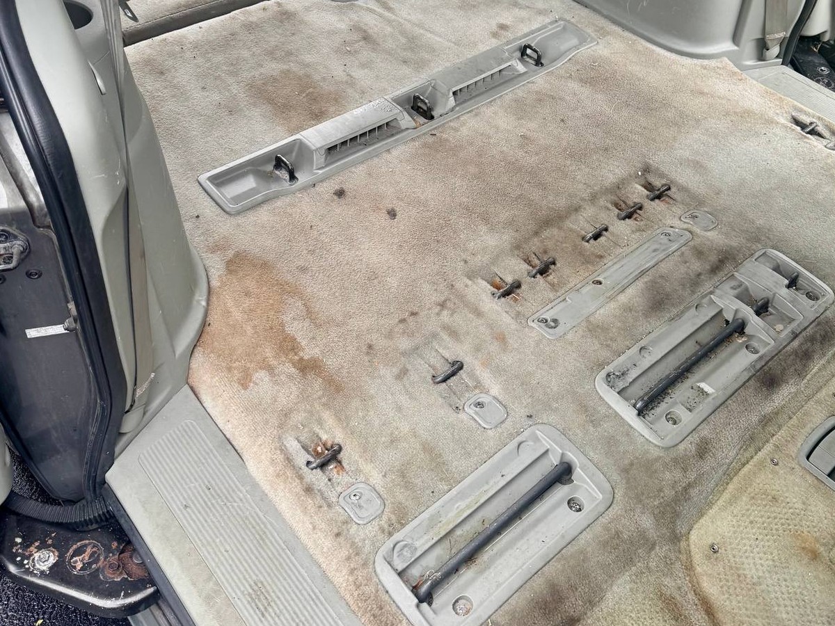 Carpet Cleaning — before